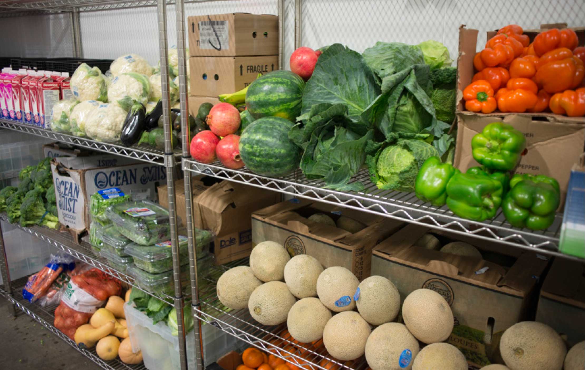 Different Names Of Food Banks